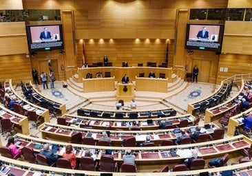 El Senado aprueba con el voto en contra del PSOE tramitar la ley para evitar que etarras no arrepentidos vayan en las listas