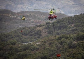 El Plan Infoca vigilará vía satélite el estado de los cortafuegos forestales de Andalucía