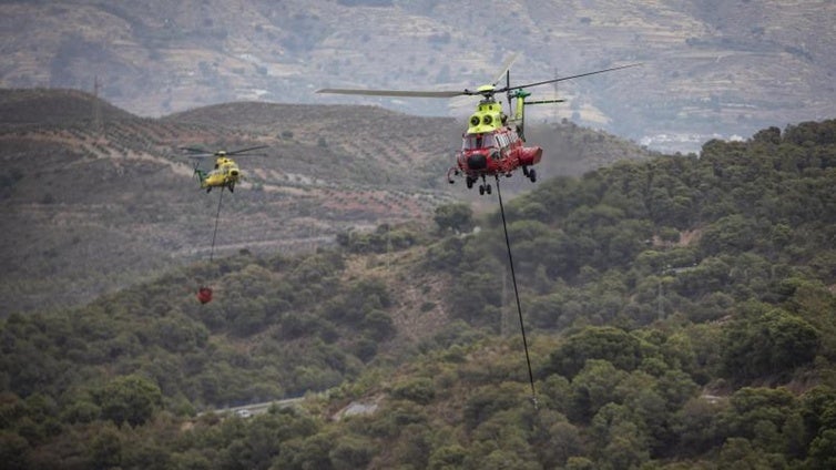 El Plan Infoca vigilará vía satélite el estado de los cortafuegos forestales de Andalucía