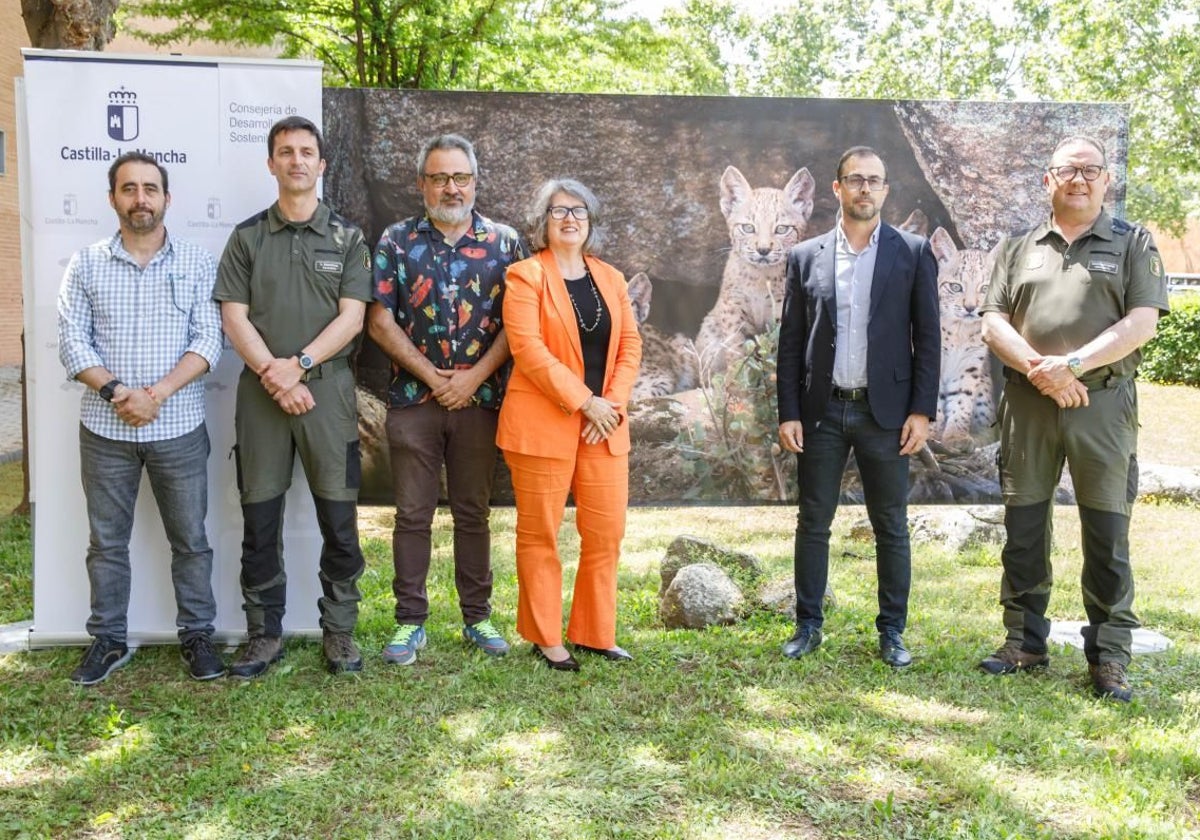 Castilla-La Mancha, la región con mayor número de linces ibéricos en 2024