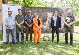 Castilla-La Mancha, la región con mayor número de linces ibéricos en 2024