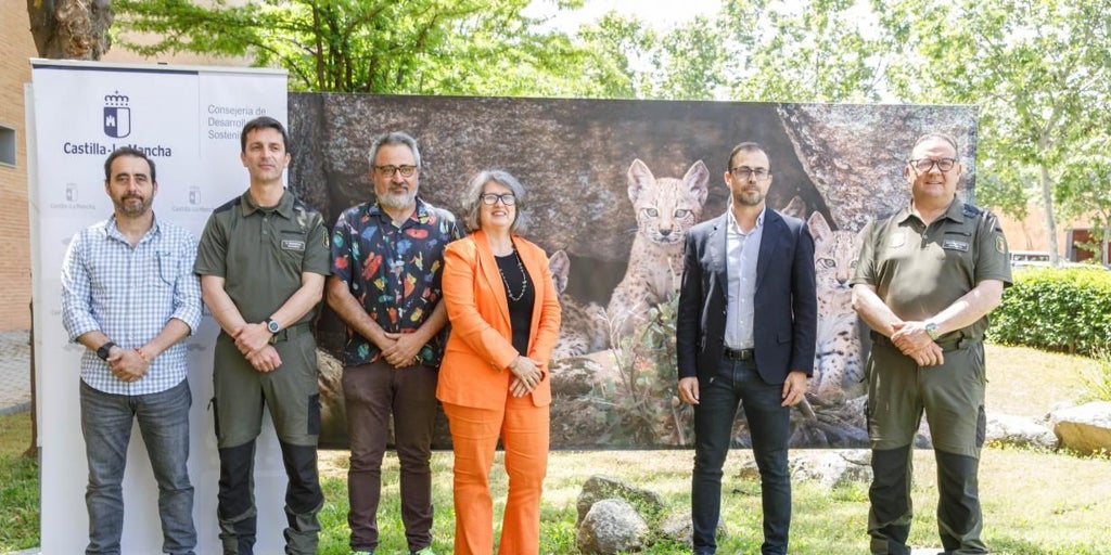 Castilla-La Mancha, la región con mayor número de linces ibéricos en 2024