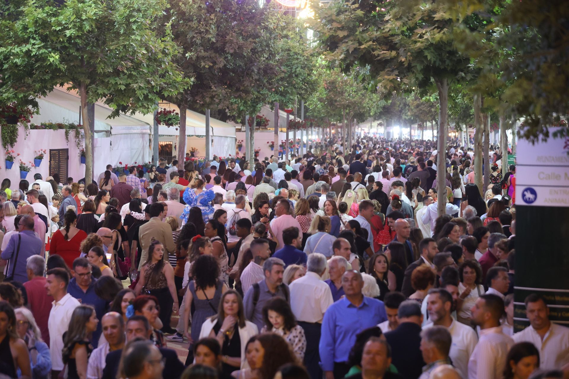 El deslumbrante encendido de la portada de la Feria de Córdoba, en imágenes