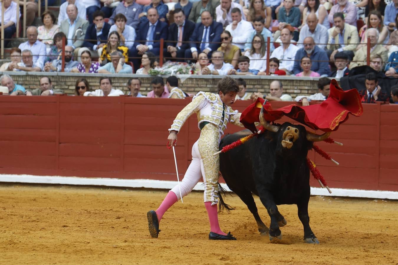 La novillada de Quintana, Zulueta y Fuentes Bocanegra en Córdoba, en imágenes