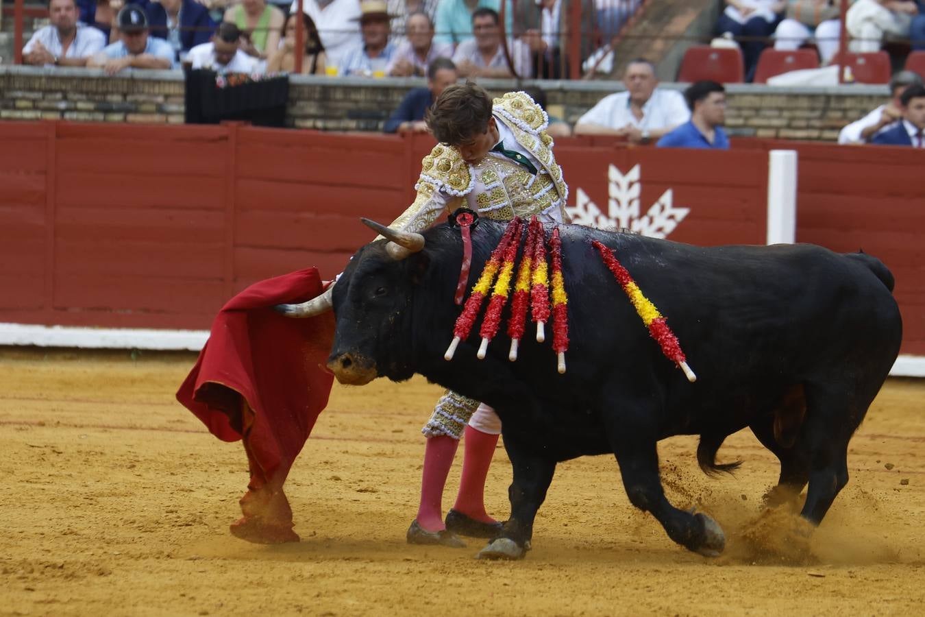 La novillada de Quintana, Zulueta y Fuentes Bocanegra en Córdoba, en imágenes