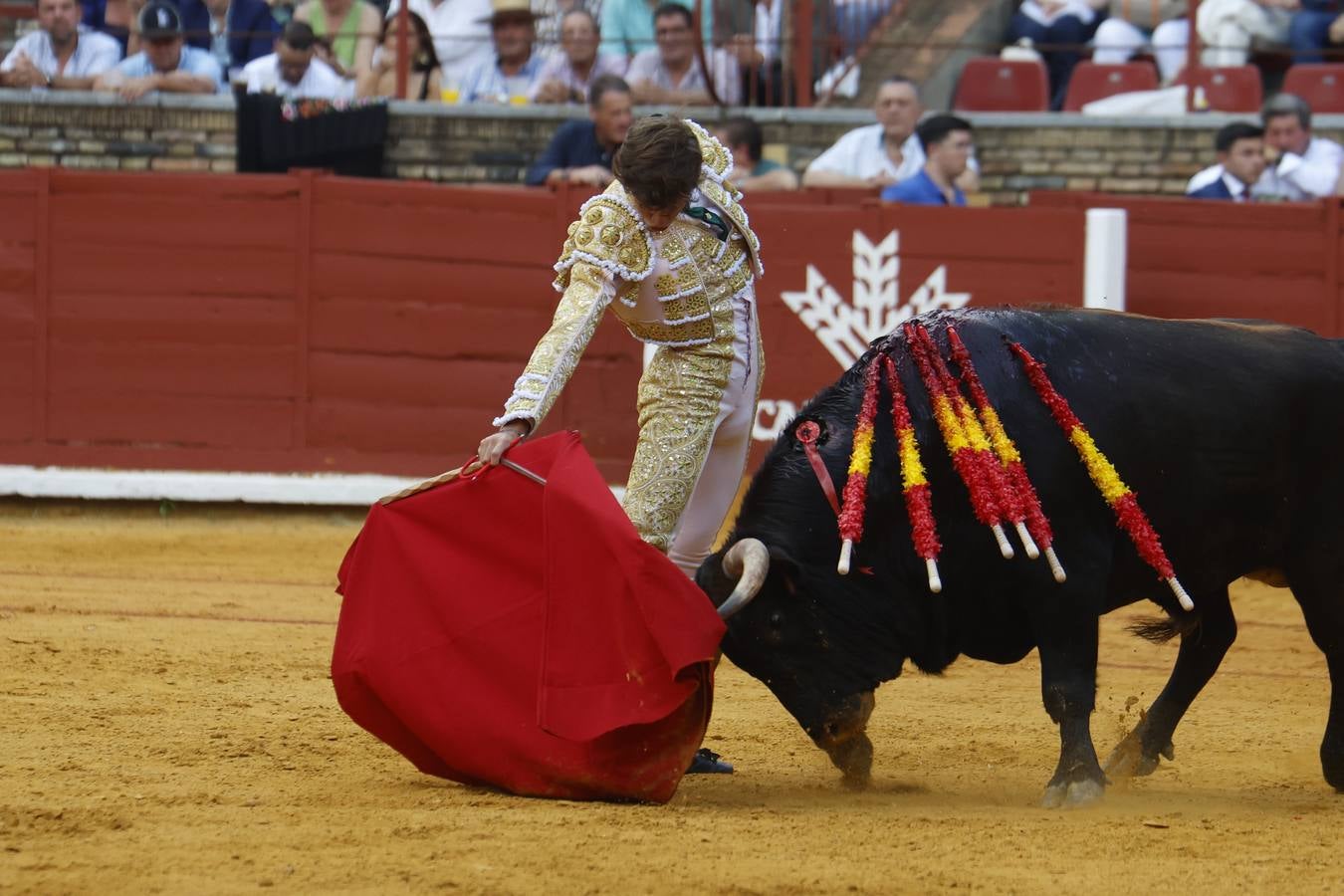 La novillada de Quintana, Zulueta y Fuentes Bocanegra en Córdoba, en imágenes