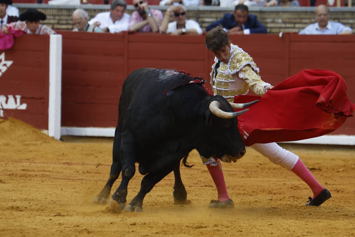 La novillada de Quintana, Zulueta y Fuentes Bocanegra en Córdoba, en imágenes