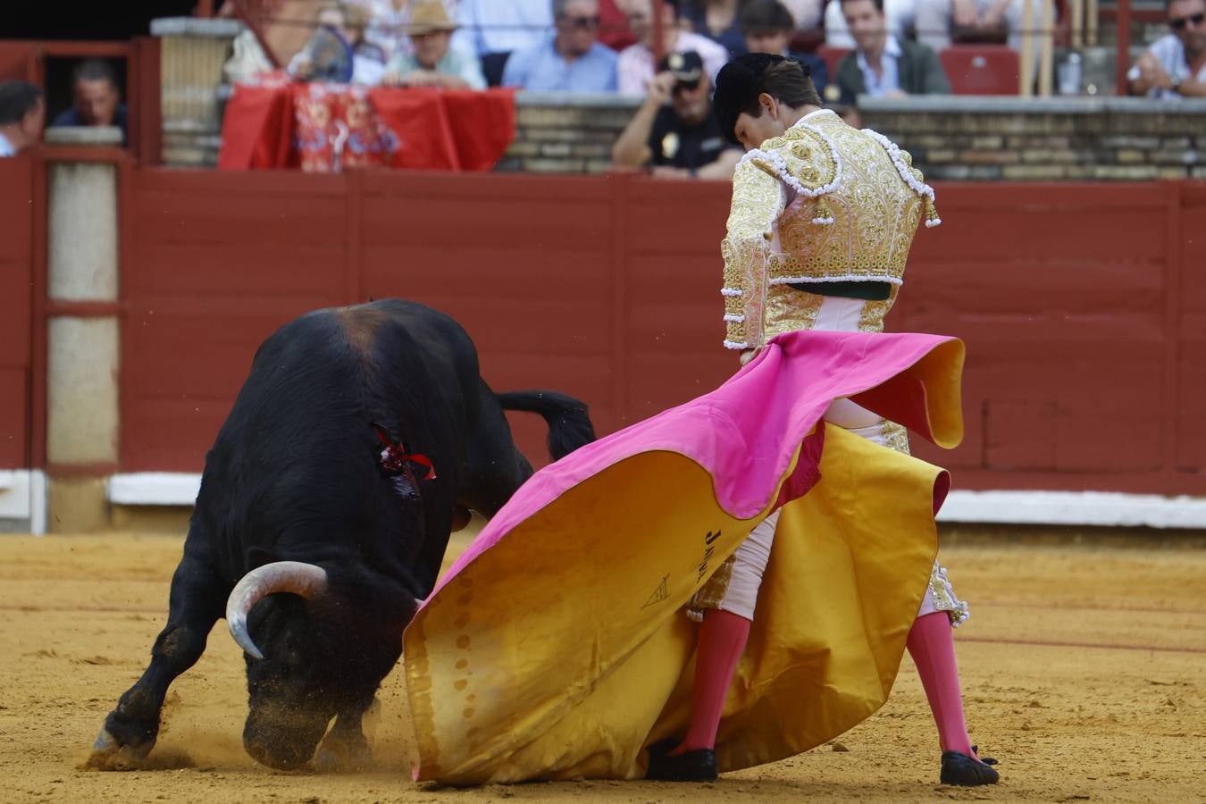 La novillada de Quintana, Zulueta y Fuentes Bocanegra en Córdoba, en imágenes