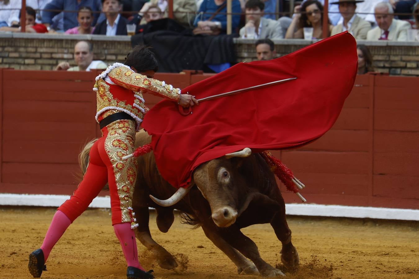 La novillada de Quintana, Zulueta y Fuentes Bocanegra en Córdoba, en imágenes