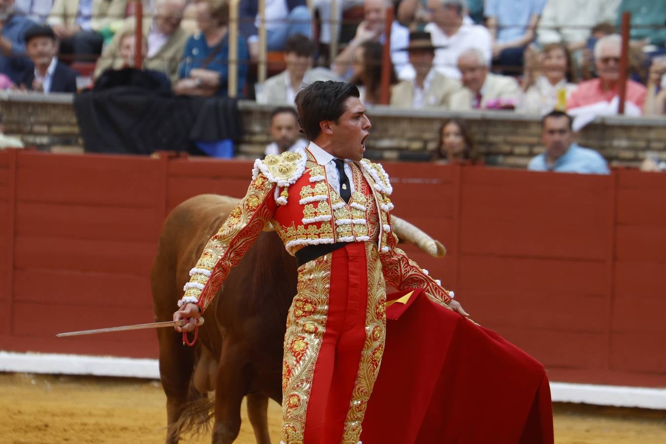 La novillada de Quintana, Zulueta y Fuentes Bocanegra en Córdoba, en imágenes