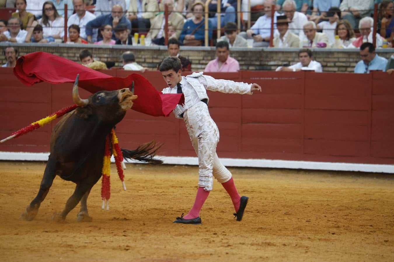 La novillada de Quintana, Zulueta y Fuentes Bocanegra en Córdoba, en imágenes