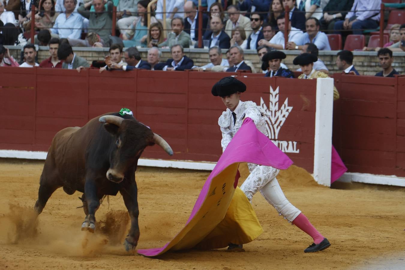 La novillada de Quintana, Zulueta y Fuentes Bocanegra en Córdoba, en imágenes