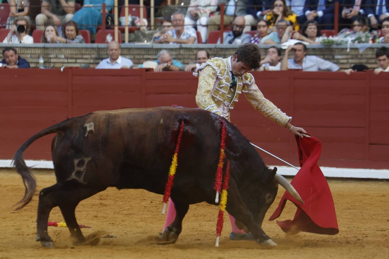 La novillada de Quintana, Zulueta y Fuentes Bocanegra en Córdoba, en imágenes