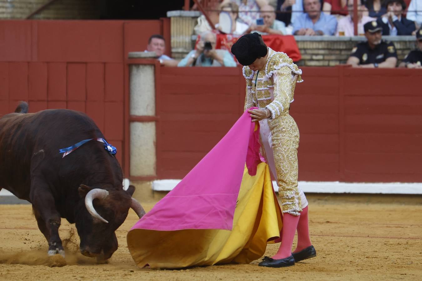 La novillada de Quintana, Zulueta y Fuentes Bocanegra en Córdoba, en imágenes