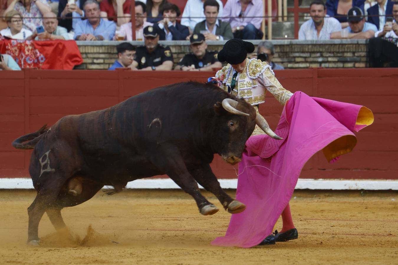 La novillada de Quintana, Zulueta y Fuentes Bocanegra en Córdoba, en imágenes