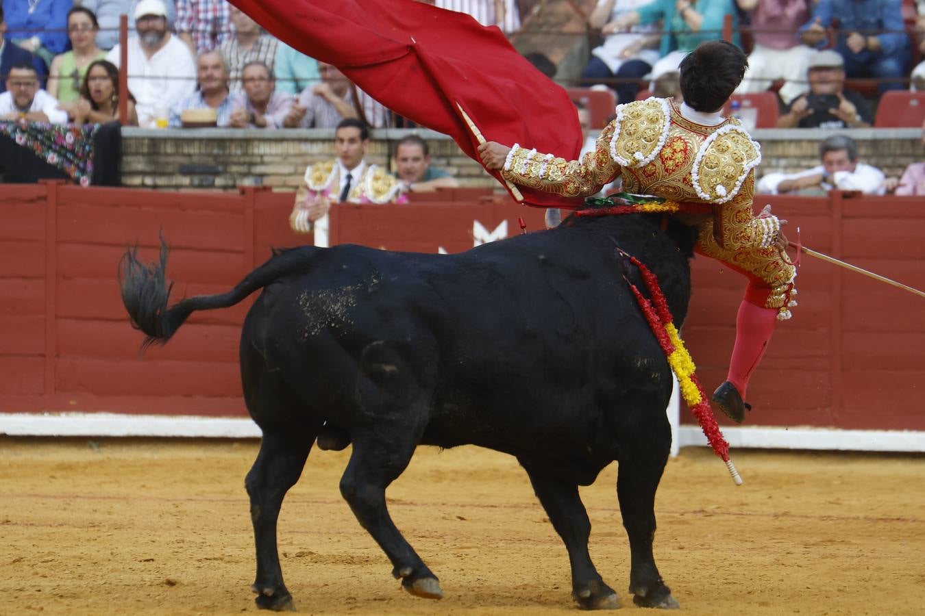 La novillada de Quintana, Zulueta y Fuentes Bocanegra en Córdoba, en imágenes