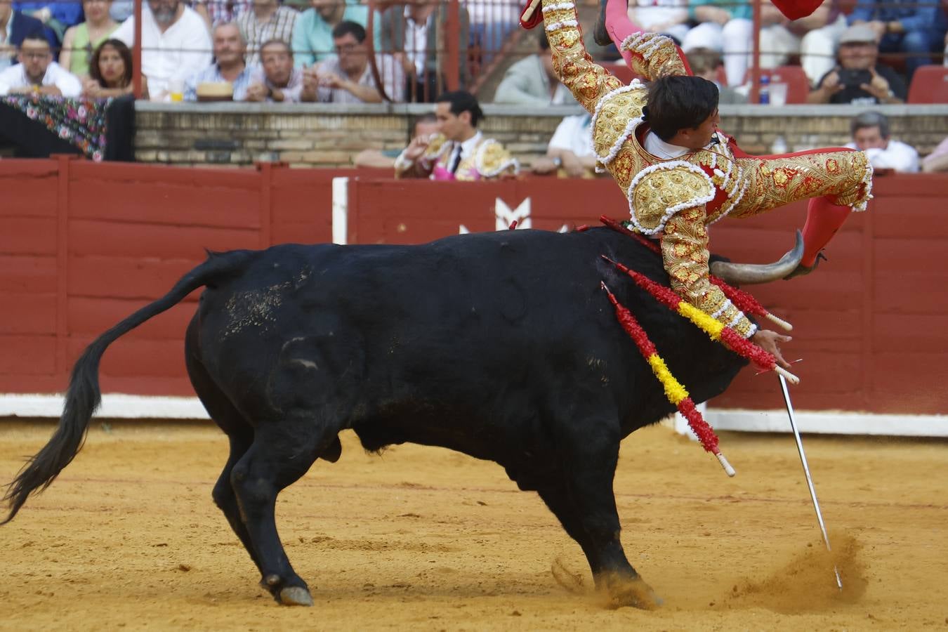 La novillada de Quintana, Zulueta y Fuentes Bocanegra en Córdoba, en imágenes