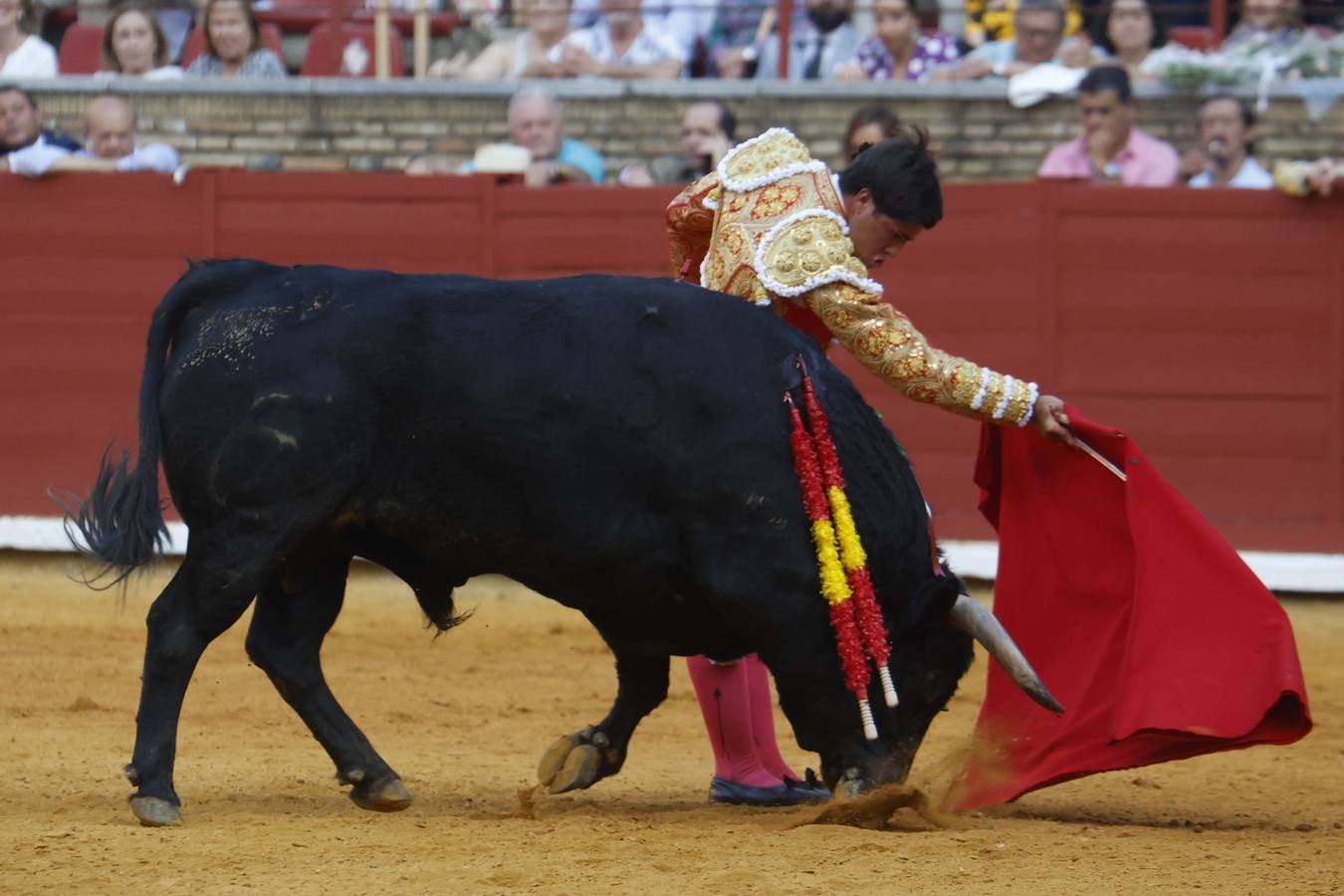 La novillada de Quintana, Zulueta y Fuentes Bocanegra en Córdoba, en imágenes