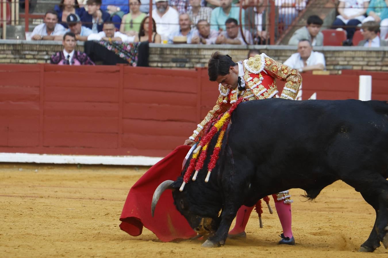 La novillada de Quintana, Zulueta y Fuentes Bocanegra en Córdoba, en imágenes