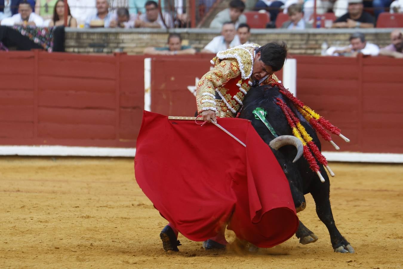 La novillada de Quintana, Zulueta y Fuentes Bocanegra en Córdoba, en imágenes