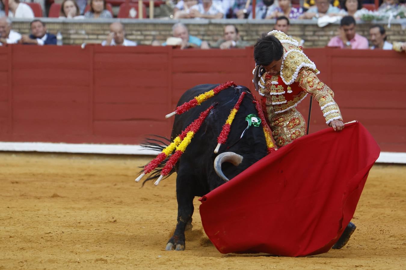 La novillada de Quintana, Zulueta y Fuentes Bocanegra en Córdoba, en imágenes