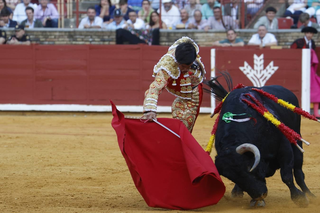 La novillada de Quintana, Zulueta y Fuentes Bocanegra en Córdoba, en imágenes