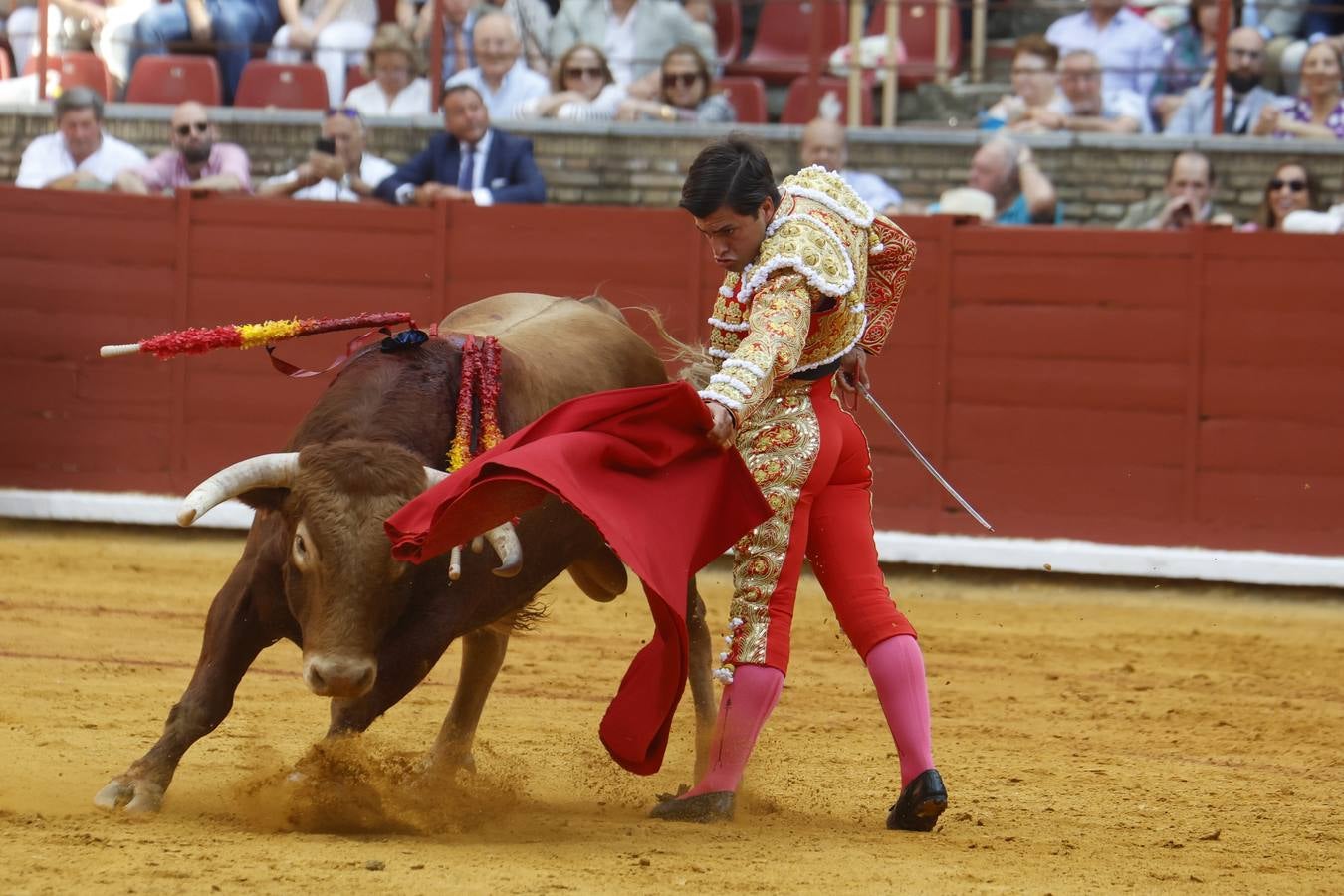 La novillada de Quintana, Zulueta y Fuentes Bocanegra en Córdoba, en imágenes