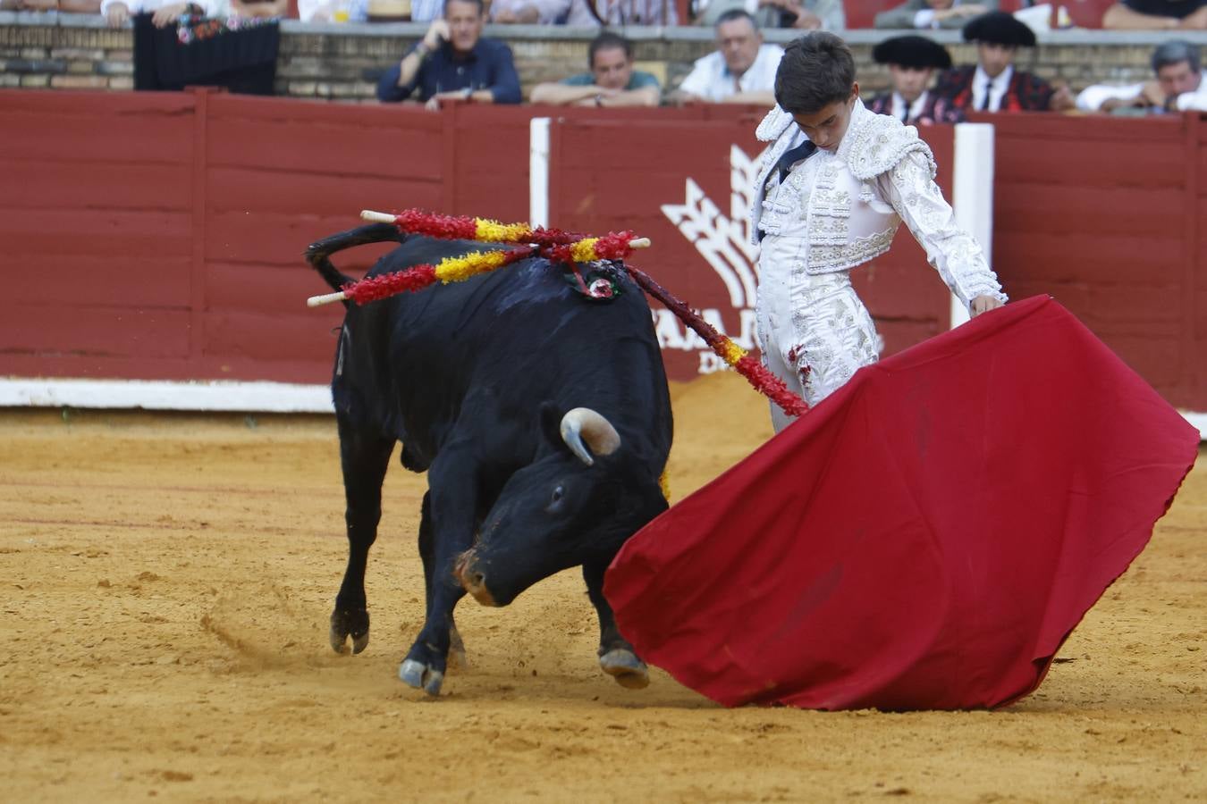 La novillada de Quintana, Zulueta y Fuentes Bocanegra en Córdoba, en imágenes