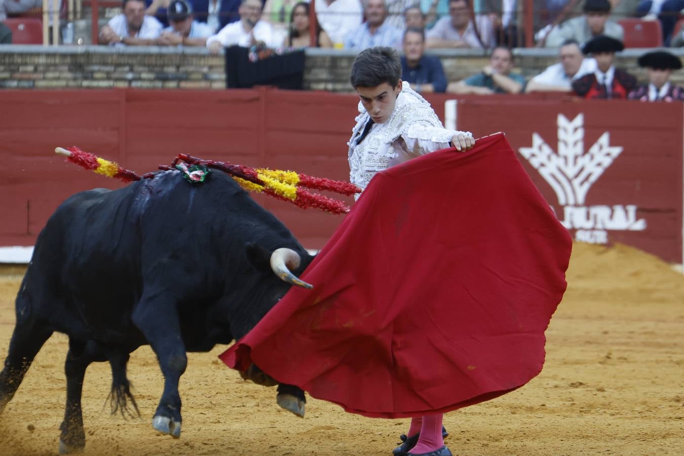 La novillada de Quintana, Zulueta y Fuentes Bocanegra en Córdoba, en imágenes