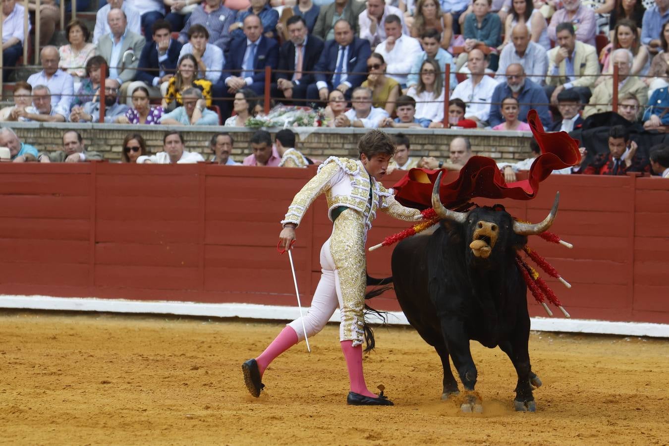 La novillada de Quintana, Zulueta y Fuentes Bocanegra en Córdoba, en imágenes