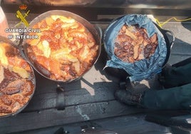 Denunciados padre e hijo por capturar ilegalmente 80 kilos de pepinos de mar en Chipiona