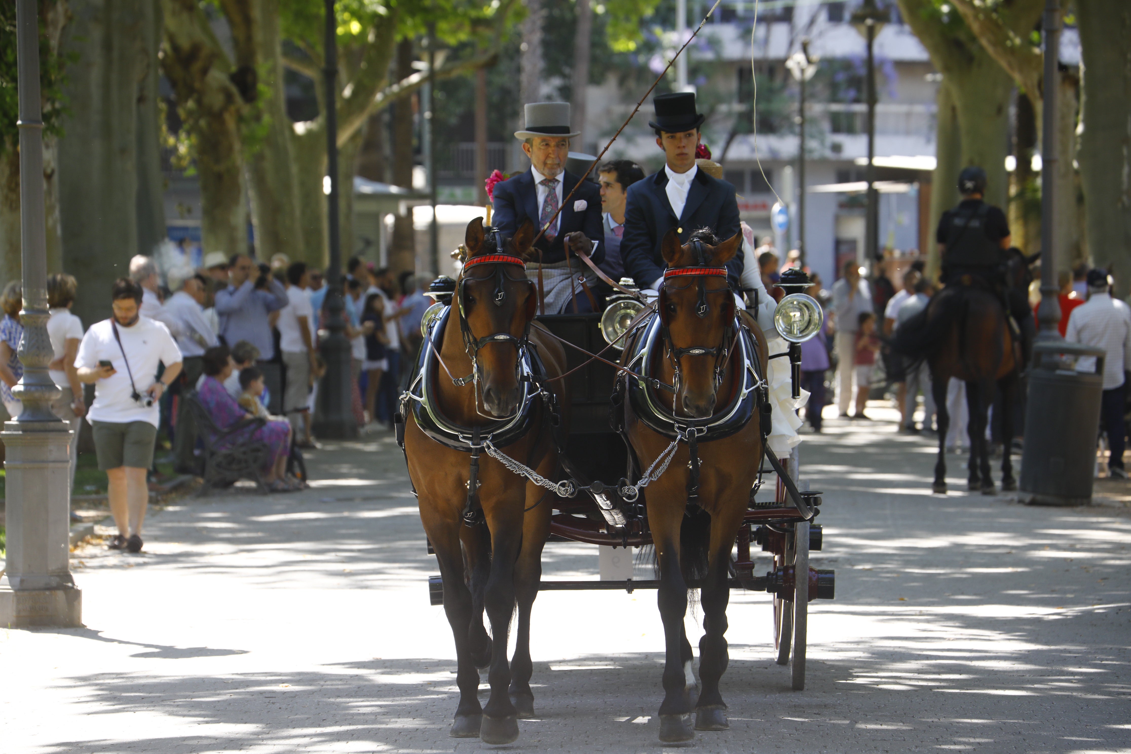 Las mejores imágenes de la Exhibición de Enganches de la Feria de Córdoba
