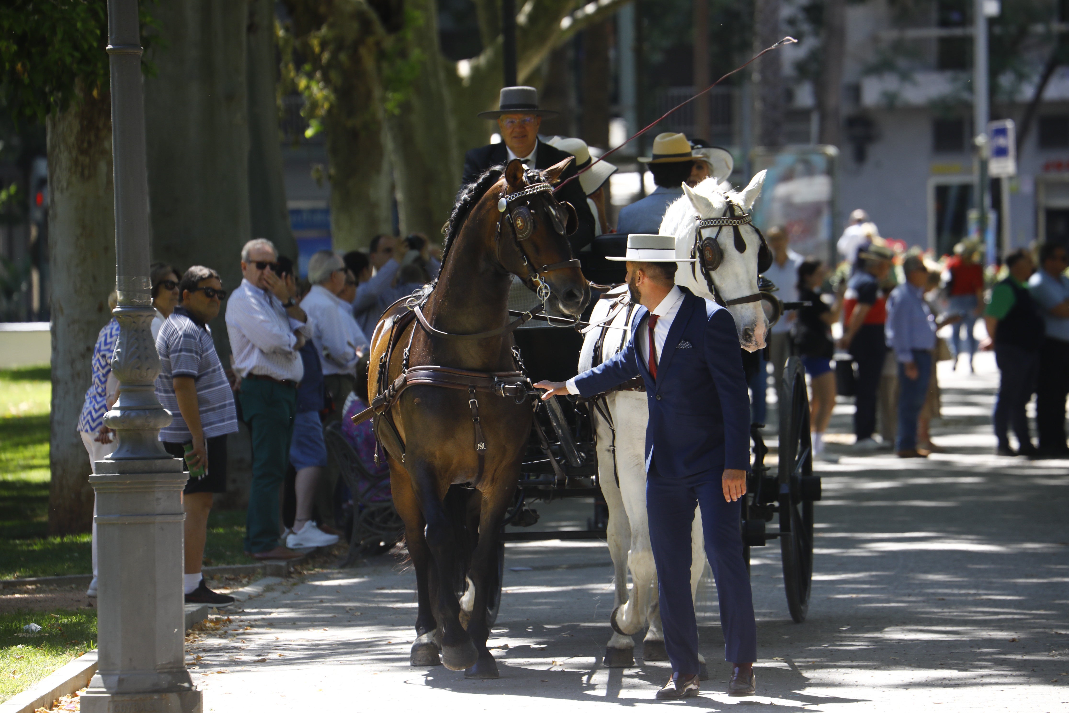 Las mejores imágenes de la Exhibición de Enganches de la Feria de Córdoba