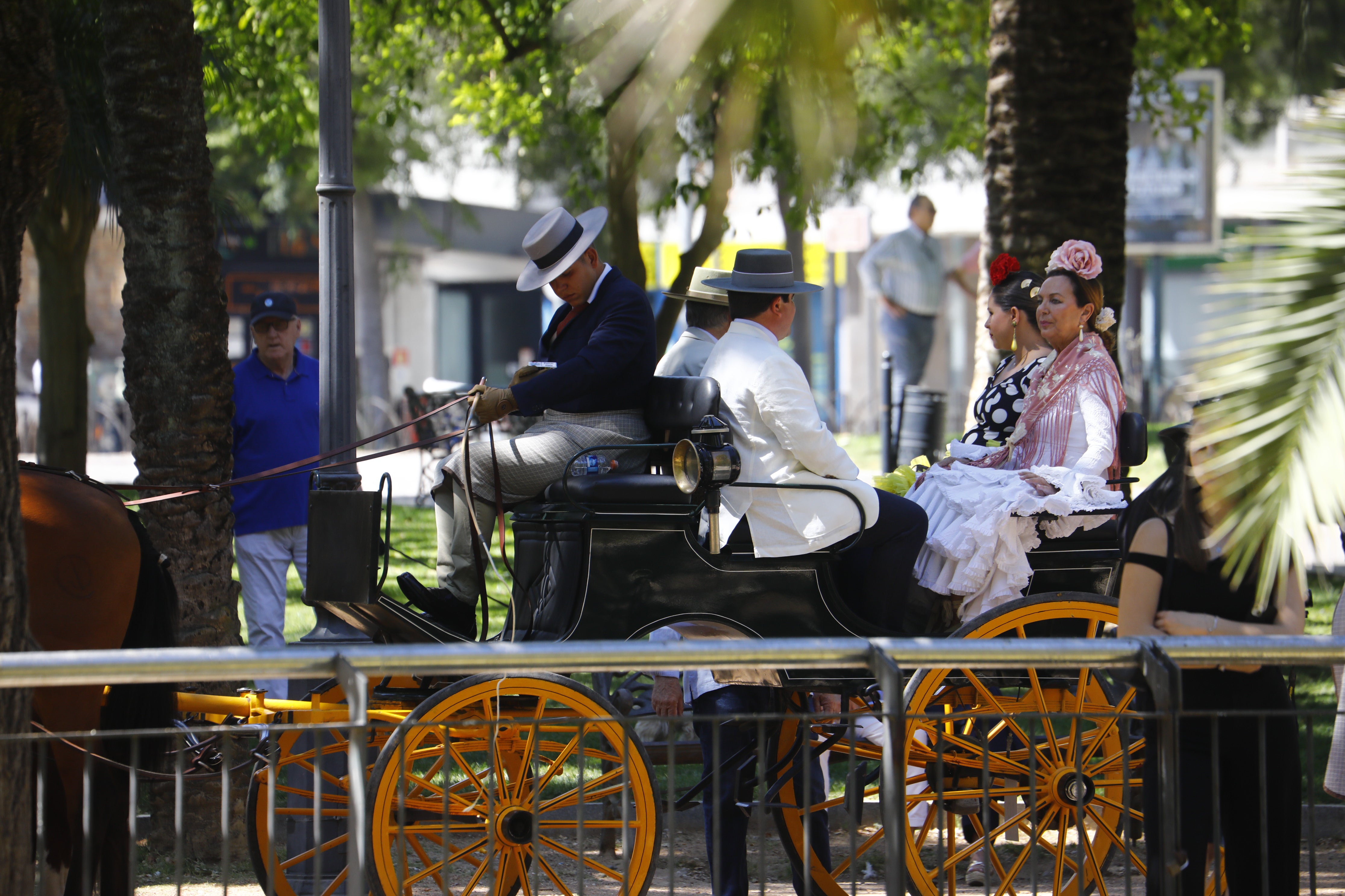 Las mejores imágenes de la Exhibición de Enganches de la Feria de Córdoba