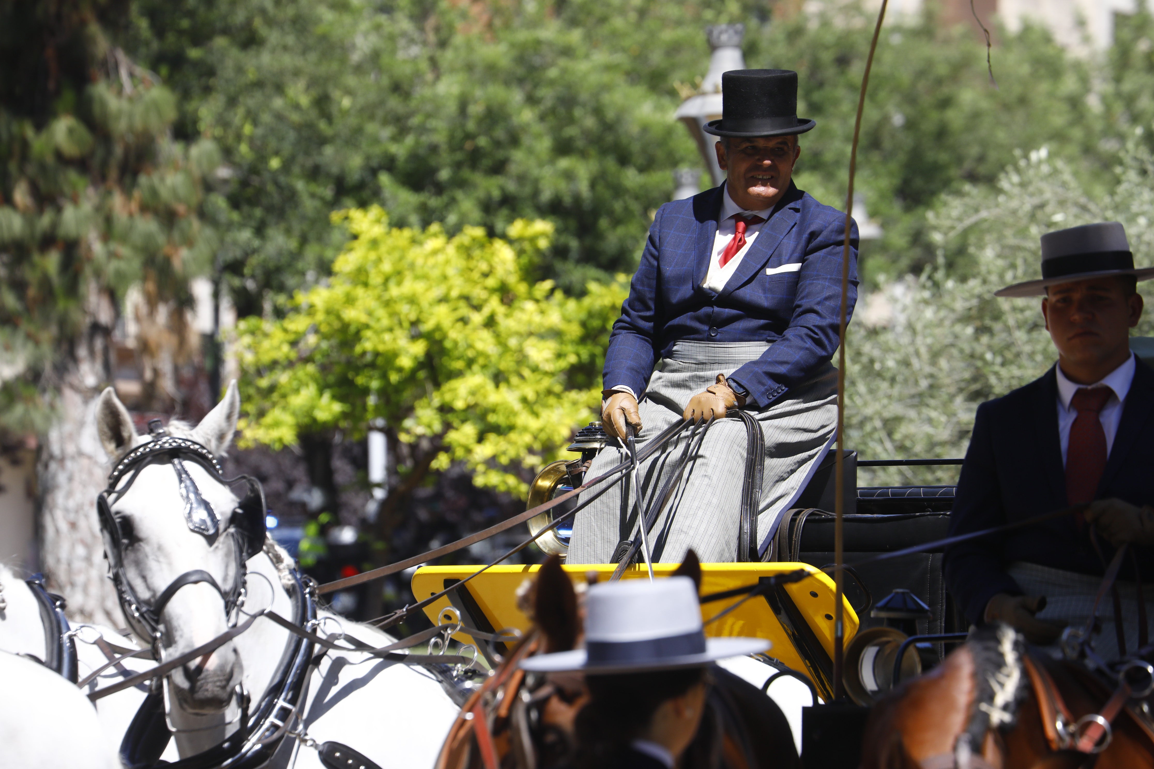 Las mejores imágenes de la Exhibición de Enganches de la Feria de Córdoba