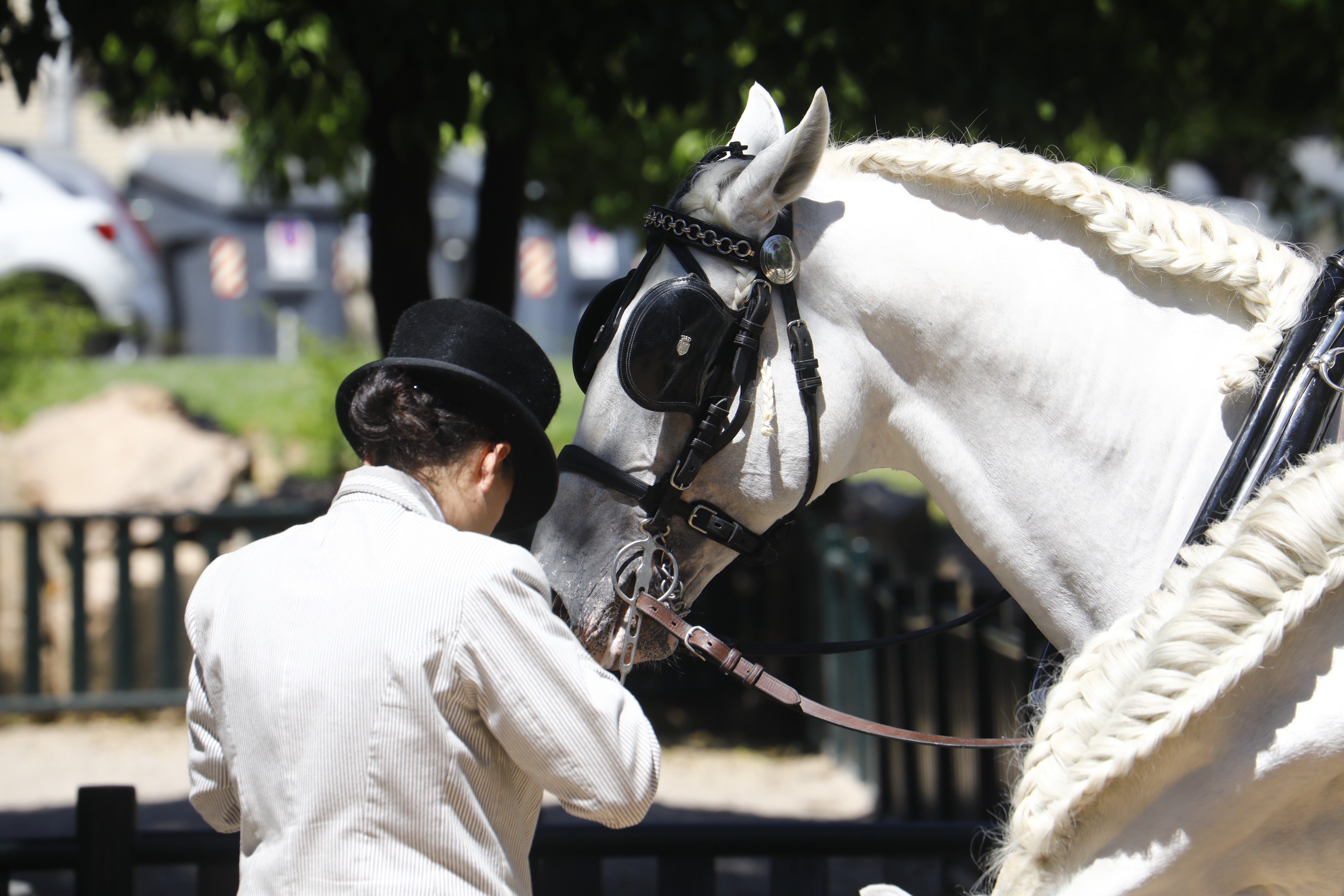 Las mejores imágenes de la Exhibición de Enganches de la Feria de Córdoba