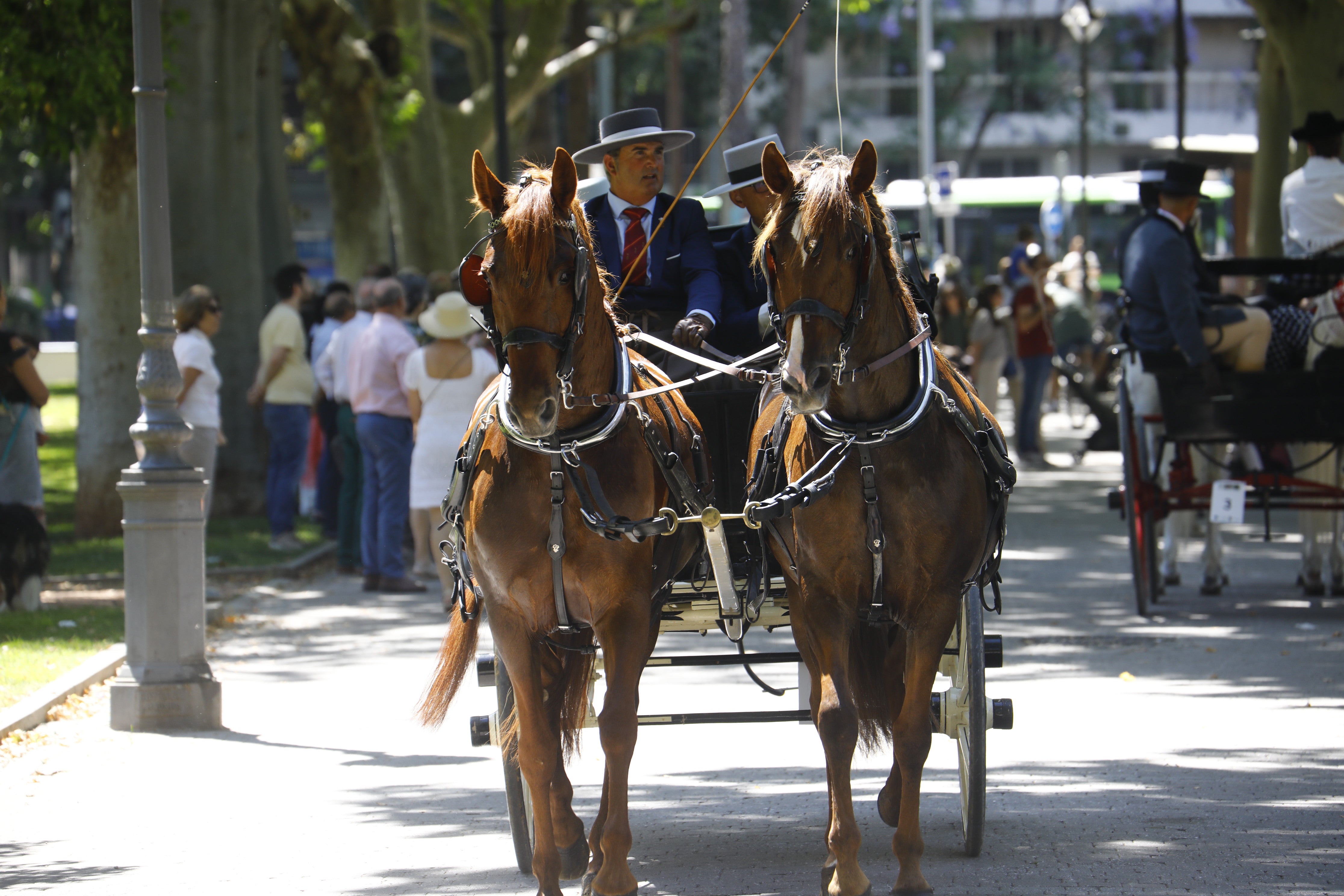 Las mejores imágenes de la Exhibición de Enganches de la Feria de Córdoba