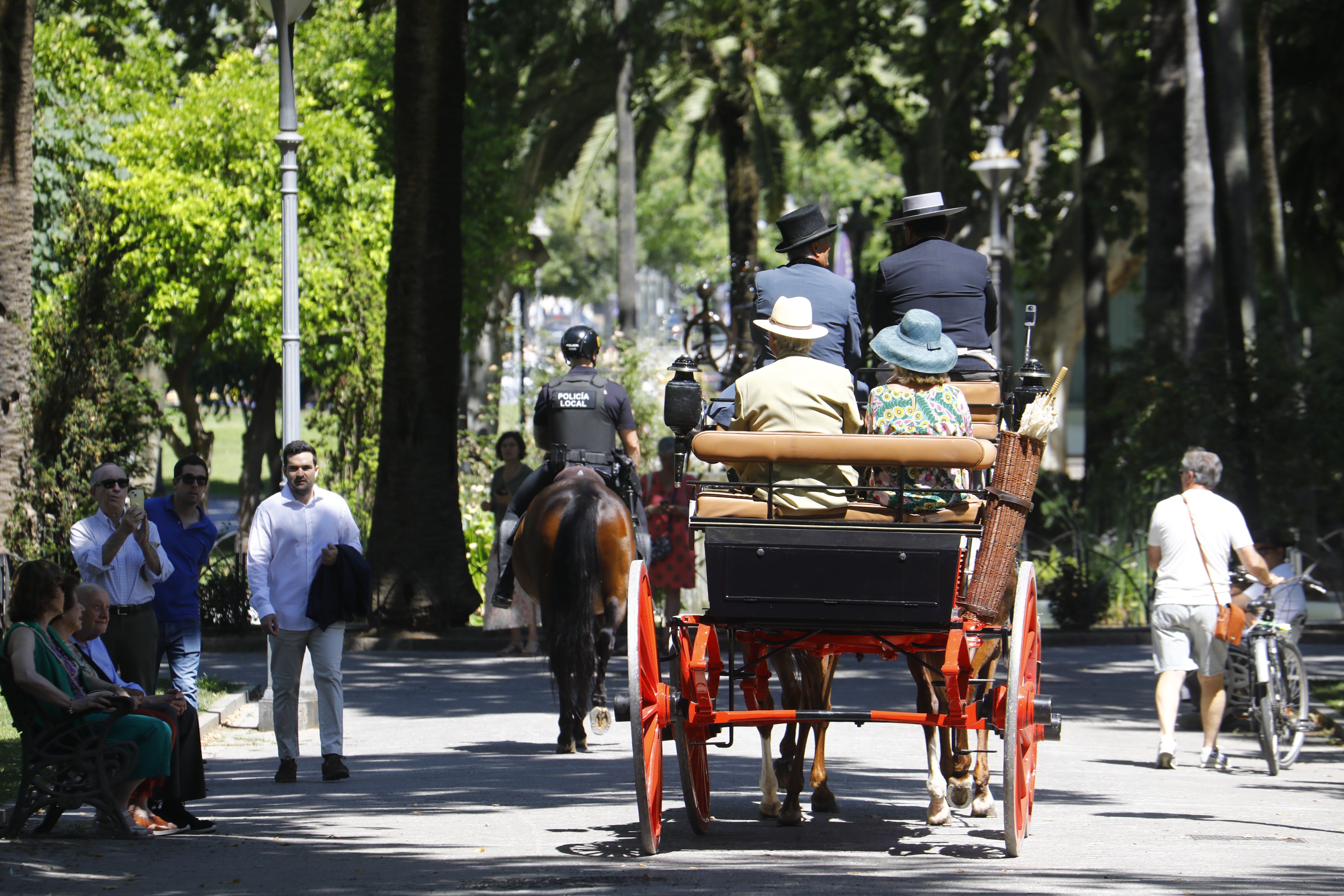 Las mejores imágenes de la Exhibición de Enganches de la Feria de Córdoba