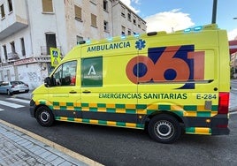 Dos niñas, de 7 y 10 años, y una mujer resultan afectadas por un incendio en un piso en Baza