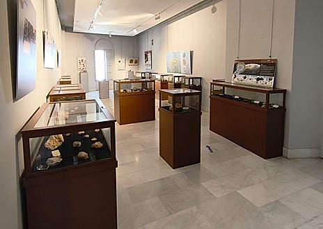 Imagen secundaria 1 - No solamente puede recorrerse esta larga etapa en el museo del Instituto Aguilar Eslava sino que la propia localidad egabrense es un museo al aire libre con restos de fósiles de la época en cualquier rincón: piedras en jardines, fachadas de edificios, escaleras, entorno snaturales y por supuesto la Sierra