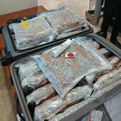 «Venimos a hacer turismo a Valencia»: pillan a una pareja británica con 33 kilos de marihuana en la maleta