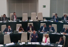 Tregua en el Pleno por las azoteas verdes y el futuro de Mercamadrid