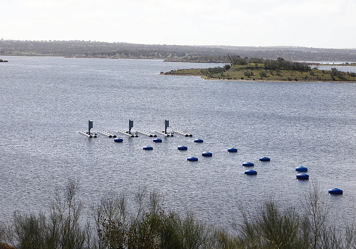 Toma flotante de captación de agua en La Colada de la obra de emergencia provisional del Gobierno