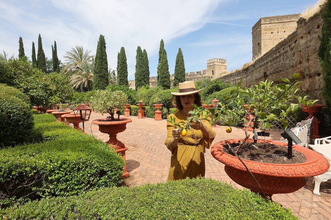El impresionante Jardín del Palacio de Portocarrero de Palma del Río, en imágenes