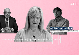 El empresario ofreció a la 'fontanera' del PSOE usar contra la UCO a un exmando de la Guardia Civil