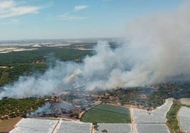 Incendio en el paraje Cruz del Arpa, de Moguer