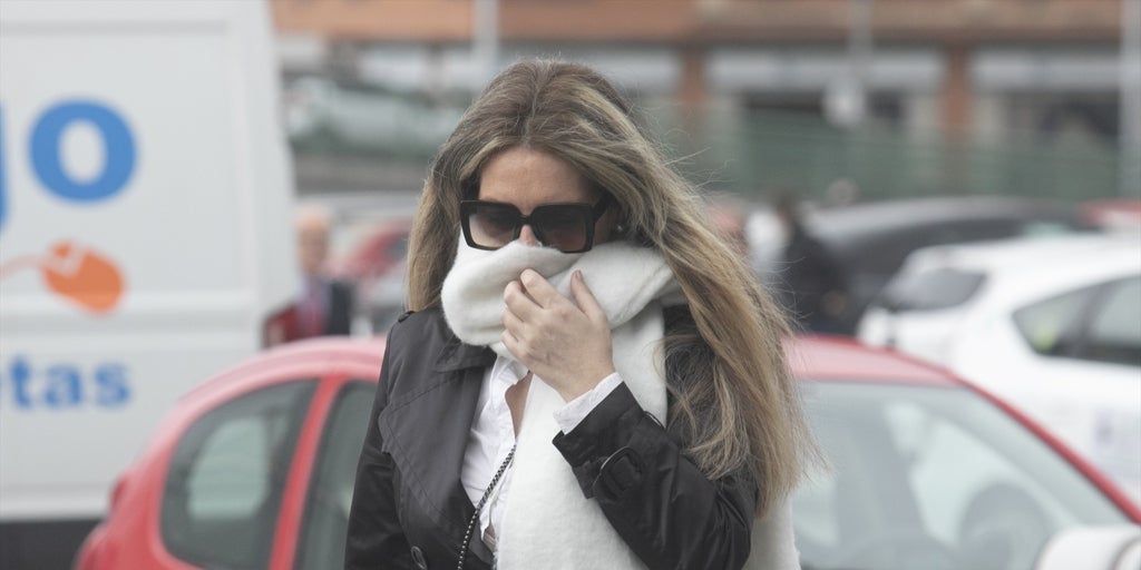 LogiRail admite tres contratos con Miss Asturias pero no aclara quién la colocó
