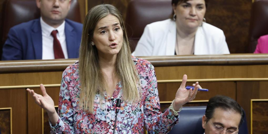 El congreso aprueba la creación de dos comisiones de investigación distintas sobre el apagón