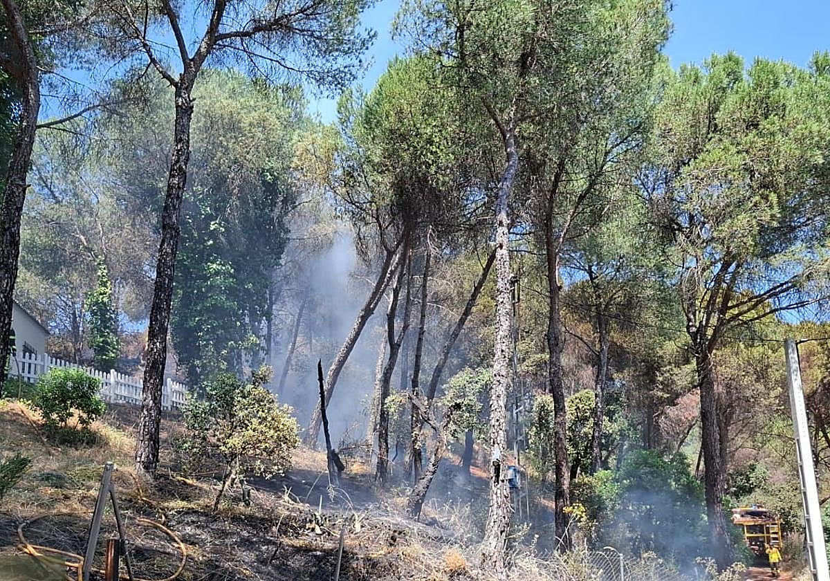 Efectivos en el lugar del incendio