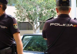 La Confederación Española de Policía asegura que la delegación de eurodiputados «les ha regalado bastante los oídos» y esperan que las «promesas se cumplan»